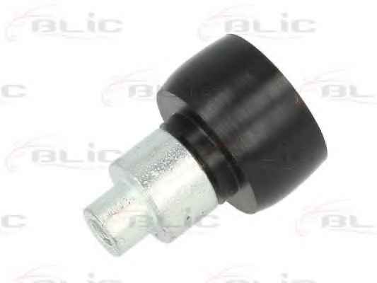 BLIC 6003-00-0013P