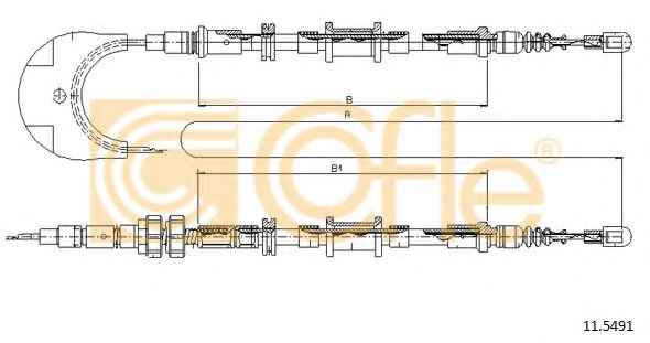 COFLE 115491