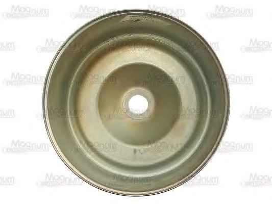 MAGNUM TECHNOLOGY 5002-02-0011P