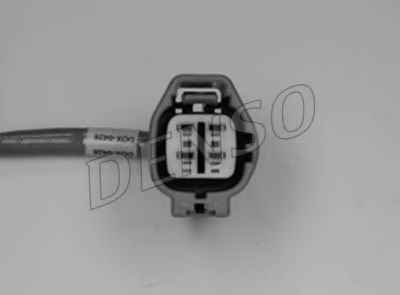 NPS DOX-0428