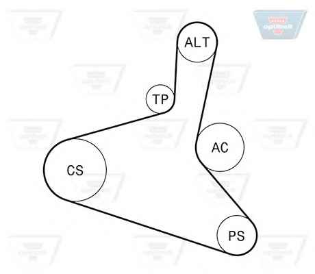 OPTIBELT 6 DPK 1195KT1